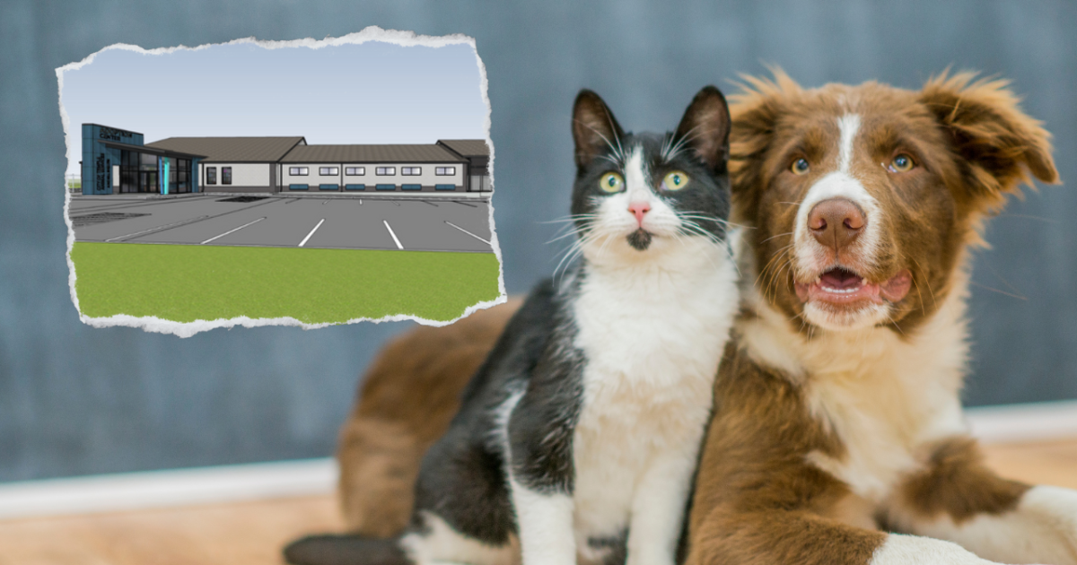 Temple online dog pound